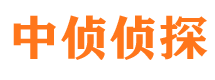 浔阳市调查取证